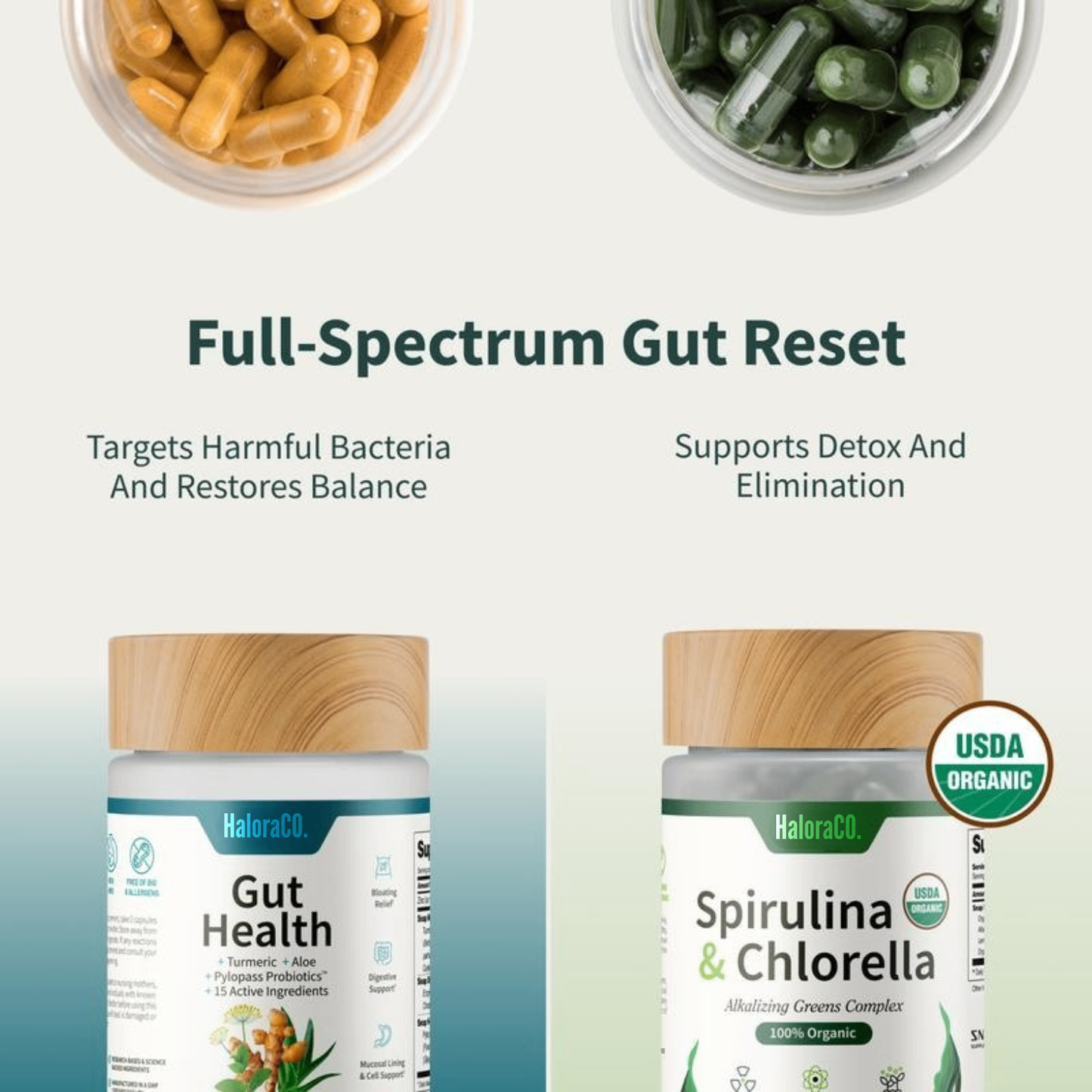 HaloraCo Healthy Gut Bundle